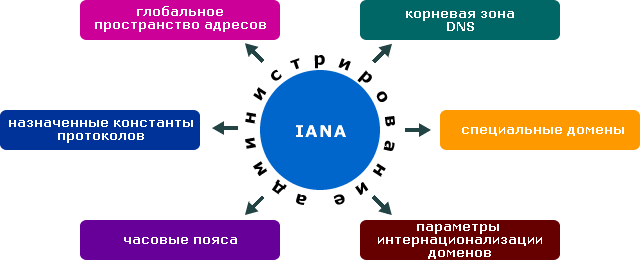 Структура зоны отвественности IANA