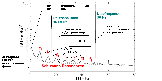 Спектр колебаний в полосе частот резонанса Шумана