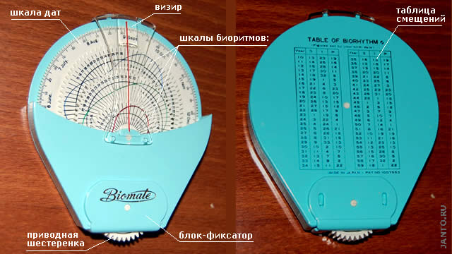 дисковый калькулятор биоритмов Biomate