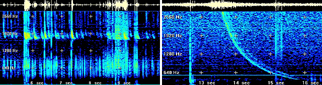 спектрограммы сигналов вистлеров в диапазоне ИНЧ