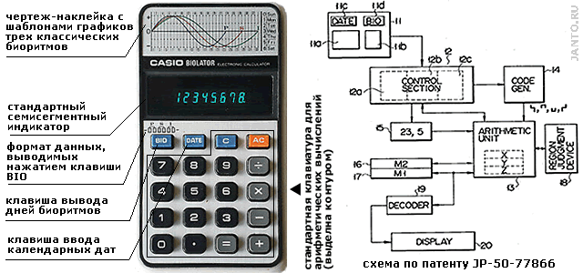 электронный калькулятор Biolator с функцией расчета биоритмов